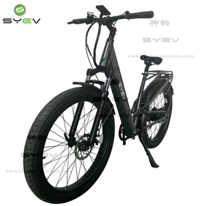 Bicicleta eléctrica con batería de litio todoterreno